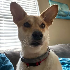 Meet your Posher, Mary